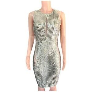Gianni Bini Silver Sequin Dress